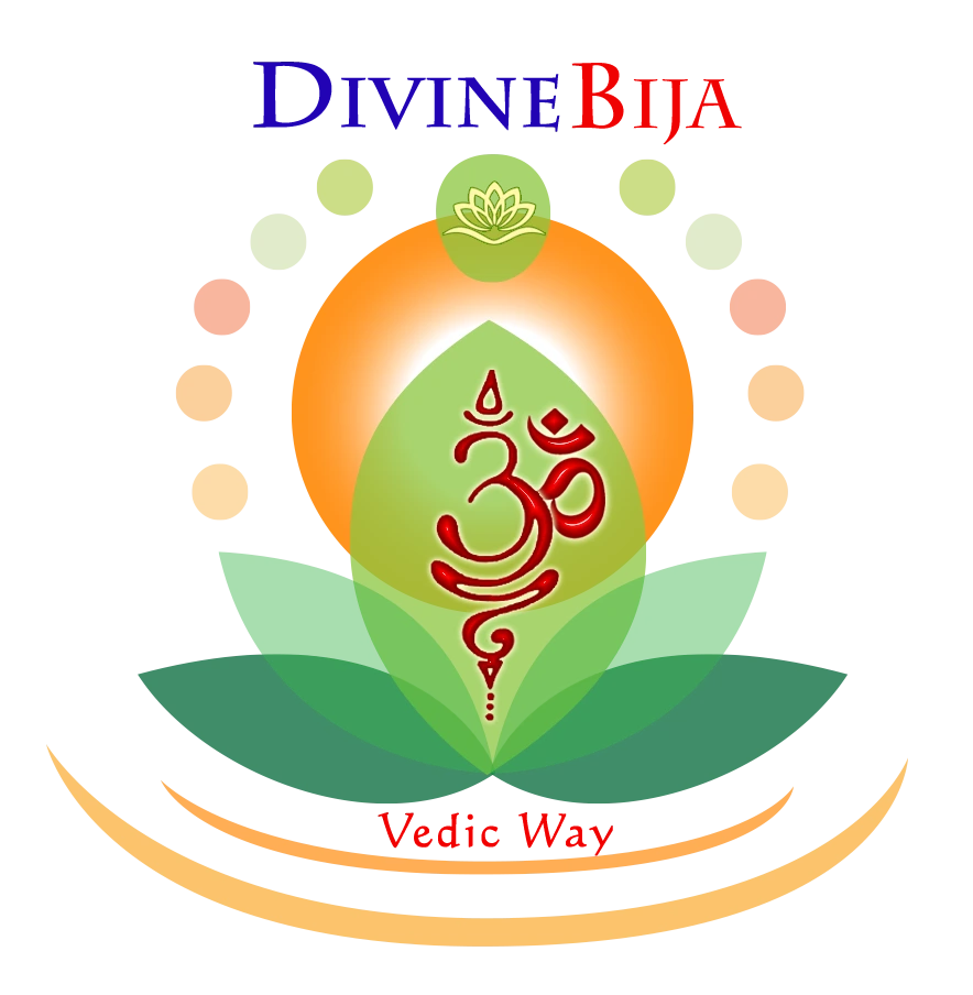 Divine Bija India Pvt Ltd | A story of motivation, passion and unconditional commitment