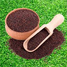 Divine Bija Nai Kadugu Divine Bija India Pvt Ltd | A story of motivation, passion and unconditional commitment