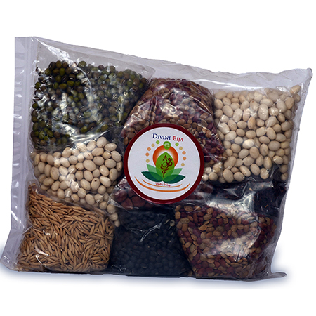 Divine Bija Navadhanyam Set Divine Bija India Pvt Ltd | A story of motivation, passion and unconditional commitment