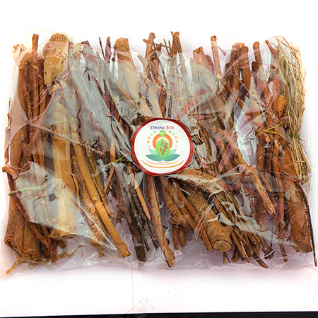 Divine Bija Navagrahaa Samithu Divine Bija India Pvt Ltd | A story of motivation, passion and unconditional commitment