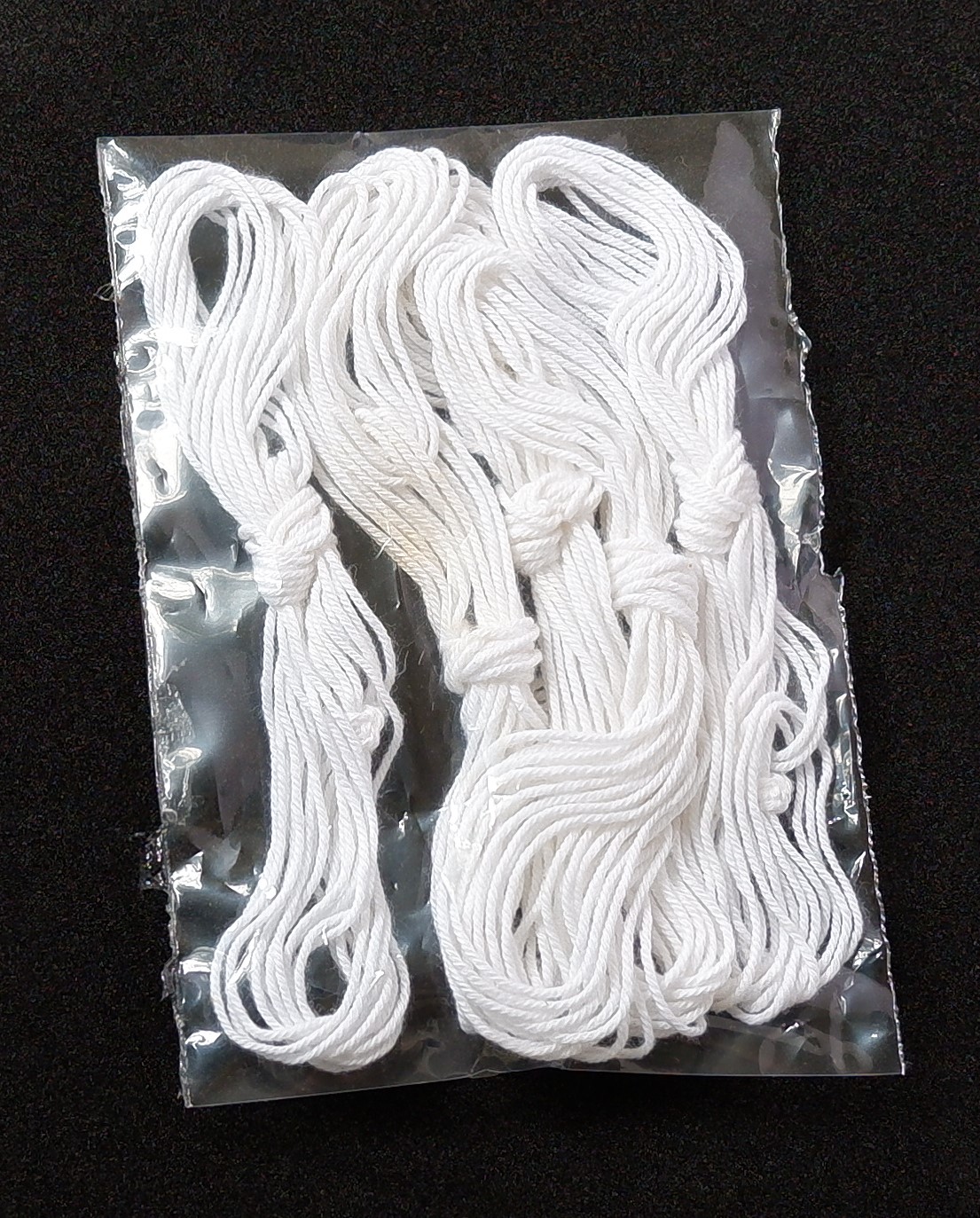 Divine Bija Vinayagar | Ganesha Poonal Divine Bija India Pvt Ltd | A story of motivation, passion and unconditional commitment