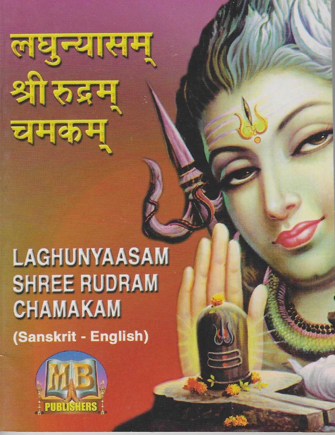 Divine Bija Laghunyaasam | Shree Rudram Chamakam Divine Bija India Pvt Ltd | A story of motivation, passion and unconditional commitment