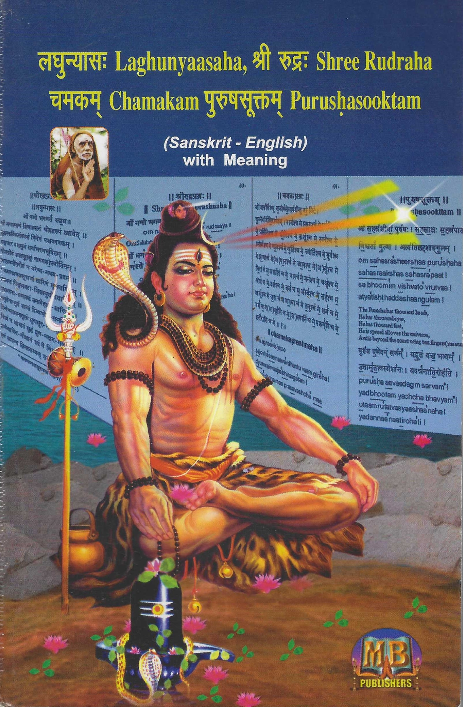 Divine Bija Sri Lagunyaasam, Sri Rudram Chamakam, Purusha suktham Divine Bija India Pvt Ltd | A story of motivation, passion and unconditional commitment