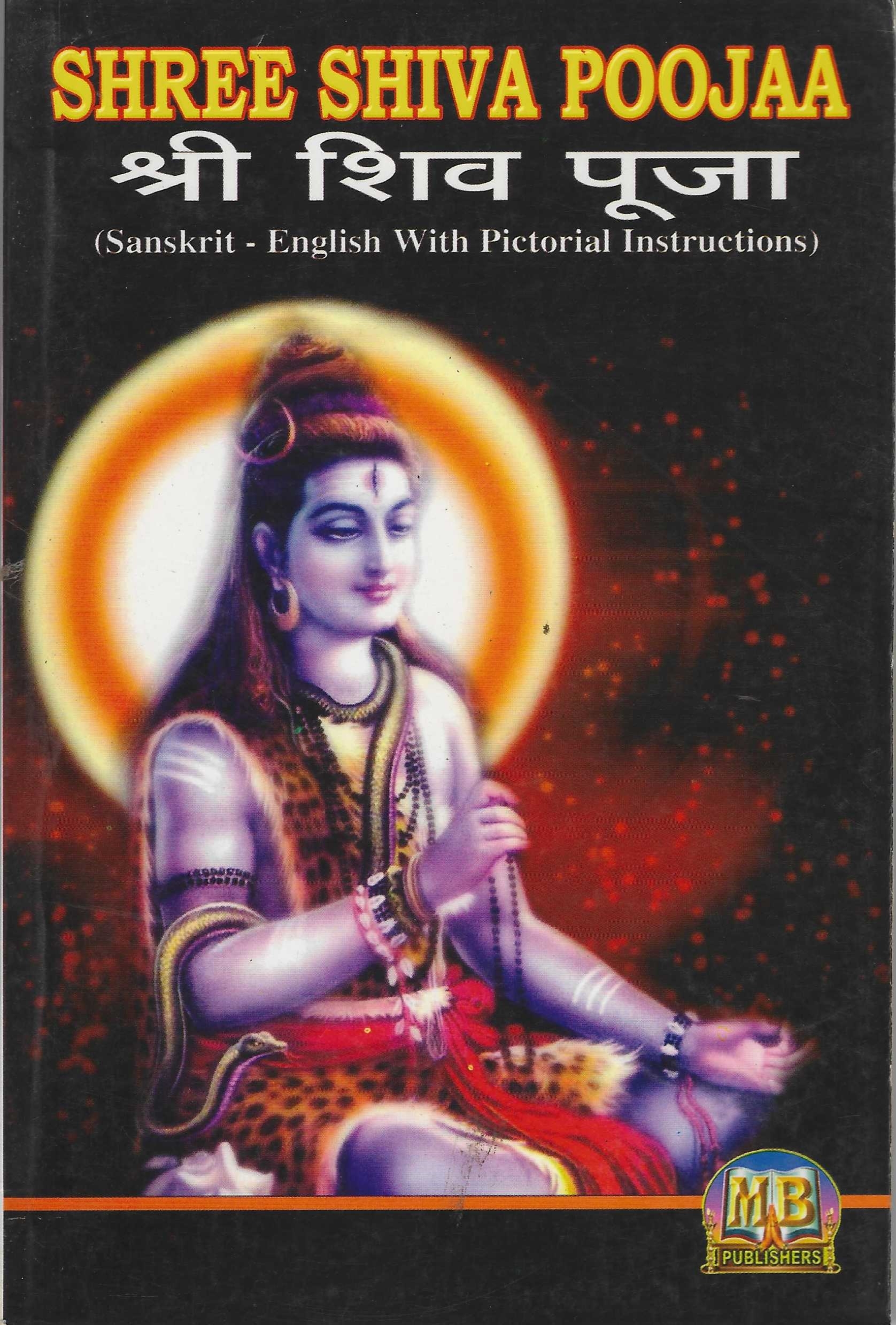 Divine Bija Sri Shiva Pooja Divine Bija India Pvt Ltd | A story of motivation, passion and unconditional commitment